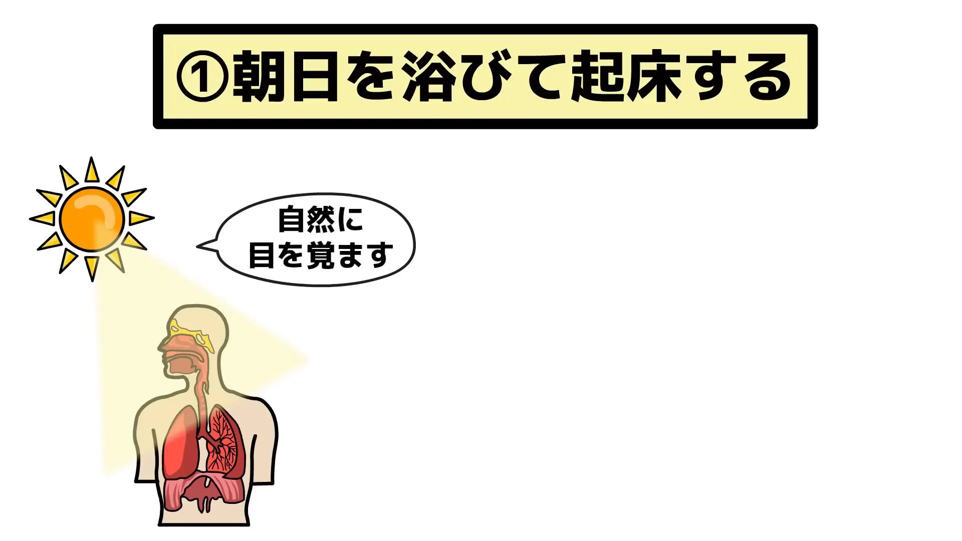 朝日を浴びながら散歩する人のイメージ